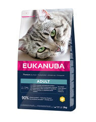 Eukanuba Cat Adult All Breeds Top Condition täiskasvanud kassidele kana ja maksaga, 2 kg hind ja info | Eukanuba Kassid | hansapost.ee