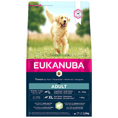 Eukanuba Adult Large Breeds täiskasvanud suurt tõugu koertele lambaliha ja riisiga, 2,5 kg цена и информация | Сухой корм для собак | hansapost.ee