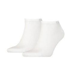 Calvin Klein meeste sokid 2pk, valge цена и информация | Мужские носки | hansapost.ee