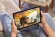 Amazon Fire Max 11 64GB (2023), grey цена и информация | Tahvelarvutid | hansapost.ee