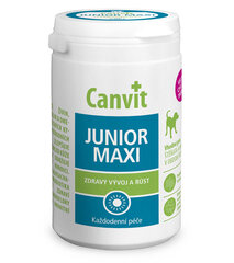 Vitamiinid koertele Can Vit Dog Junior Maxi, 230 g hind ja info | Vitamiinid ja parasiiditõrje | hansapost.ee