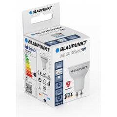 Blaupunkt LED pirn GU10 5W, naturaalne valge hind ja info | Blaupunkt Remondikaubad, sanitaartehnika ja kütteseadmed | hansapost.ee
