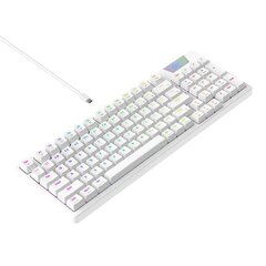 Gaming Keyboard Havit KB885L RGB (white) цена и информация | Клавиатуры | hansapost.ee