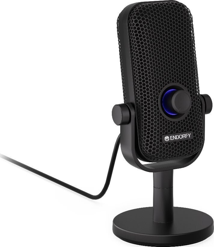 Endorfy Solum Voice S EY1B013 цена и информация | Mikrofonid | hansapost.ee