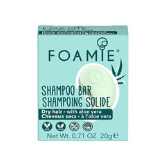 Tahke šampoon kuivadele juustele Shampoo Bar Travel Size, 20 g цена и информация | Foamie Духи, косметика | hansapost.ee