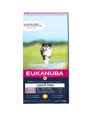 Eukanuba Puppy Grain Free L suurt tõugu kutsikate jaoks kanaga, 3 kg price and information | Koerte kuivtoit ja krõbinad | hansapost.ee