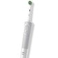 Oral-B D103 hind ja info | Elektrilised hambaharjad | hansapost.ee