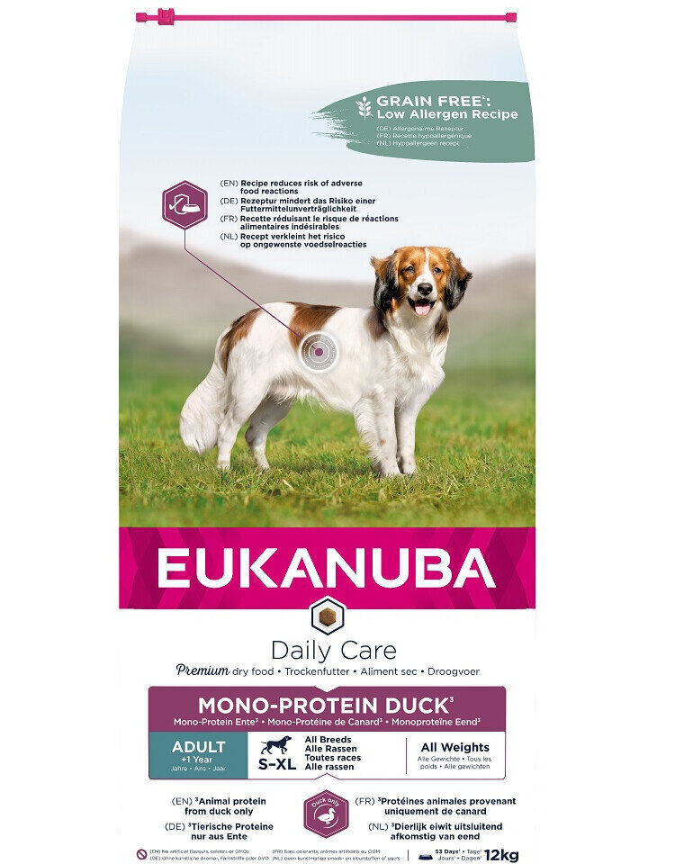 Eukanuba Daily Care S-XL Adult pardiga täiskasvanud koertele, 12 kg цена и информация | Koerte kuivtoit ja krõbinad | hansapost.ee