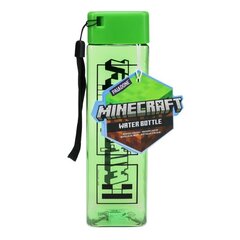 Minecraft water bottle цена и информация | Атрибутика для игроков | hansapost.ee