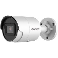 IP-камера видеонаблюдения Hikvision DS-2CD2043G2- IU цена и информация | Камеры видеонаблюдения | hansapost.ee