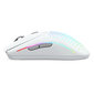 Glorious PC Gaming Race Model O 2 Wireless Matte White цена и информация | Arvutihiired | hansapost.ee