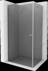 Dušikabiin Mexen Pretoria, hall, 100 x 90 cm hind ja info | Dušikabiinid | hansapost.ee