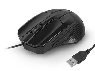 LTC LXM204 PC Mouse hind ja info | Arvutihiired | hansapost.ee