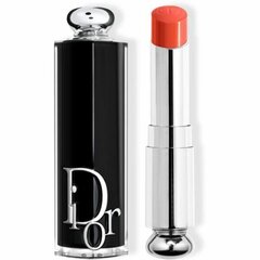 Huulepulk Dior Addict Shine No. 329, 32 g hind ja info | Huulekosmeetika | hansapost.ee