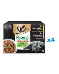 Sheba Nature's Collection Mix kana ja lõhega, 32x85 g hind ja info | Kassikonservid | hansapost.ee