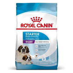 Royal Canin «Giant starter mother & babydog» для щенков особо крупных пород, 1 кг цена и информация | Сухой корм для собак | hansapost.ee