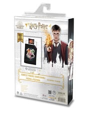 Laste voodipesukomplekt Harry Potter, 140x200, 2-osaline price and information | Laste voodipesu | hansapost.ee