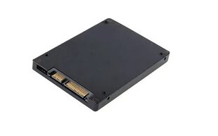 CoreParts P3-256T цена и информация | Внутренние жёсткие диски (HDD, SSD, Hybrid) | hansapost.ee