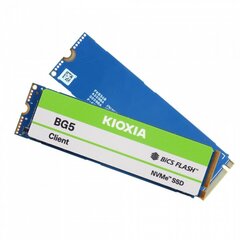 Kioxia BG5 (KBG50ZNV256G) hind ja info | Sisemised kõvakettad | hansapost.ee