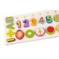 Puidust sorteerija puuviljade ja numbritega Kruzzel 22607 hind ja info | Arendavad laste mänguasjad | hansapost.ee