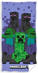 Laste rätik Minecraft, 70x140 cm цена и информация | Полотенца | hansapost.ee