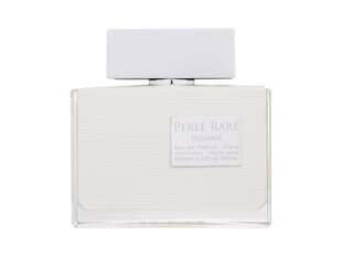 Parfüümvesi meestele Panouge Perle Rare Homme EDP, 100 ml hind ja info | Parfüümid meestele | hansapost.ee