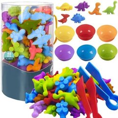 Komplekt loendamise õpetamiseks Kruzzel Dinozaurai 22496 hind ja info | Arendavad laste mänguasjad | hansapost.ee