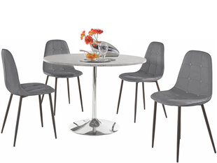 Комплект мебели для столовой Notio Living Terri/Lamar, серый цена и информация | Комплекты мебели для столовой | hansapost.ee