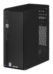 Actina Professional Prime AMD Ryzen™ 5 5600G цена и информация | Стационарные компьютеры | hansapost.ee