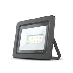 Kohtvalgusti LED PROXIM II 10W |6000K| IP66 Forever Light, must hind ja info | Aiavalgustid ja õuevalgustid | hansapost.ee