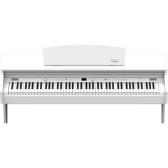 Электрическое пианино Artesia DP-10e цена и информация | Клавишные музыкальные инструменты | hansapost.ee