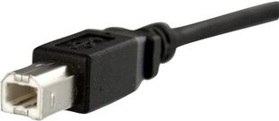 StarTech, USB B, 0,3 м цена и информация | Кабели и провода | hansapost.ee