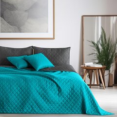 DecoKing voodikate Axel 170x270 cm hind ja info | Pleedid, voodikatted ja päevatekid | hansapost.ee