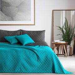 DecoKing voodikate Axel 170x270 cm price and information | Plaids, bedspreads and day blankets | hansapost.ee