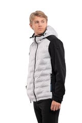 Куртка мужская софтшелл Luhta ALAVO, серо-черный цвет цена и информация | Мужские куртки | hansapost.ee