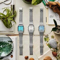 Женские часы Casio AQ-230A-2A2MQYES цена и информация | Женские часы | hansapost.ee