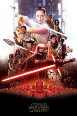 Pleed Star Wars 100 x 150 cm hind ja info | Pleedid, voodikatted ja päevatekid | hansapost.ee