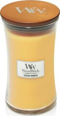 WoodWick lõhnaküünal Seaside Mimosa 609.5g hind ja info | Küünlad, küünlajalad | hansapost.ee