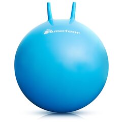 Гимнастический мяч Meteor, 55 см, синий цена и информация | Гимнастические мячи | hansapost.ee