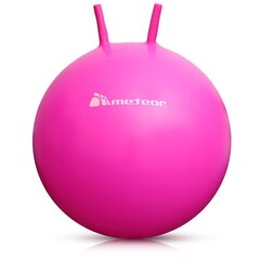 Гимнастический мяч Meteor, 65 см, розовый цена и информация | Гимнастические мячи | hansapost.ee