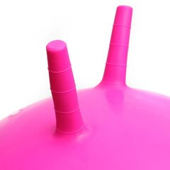 Võimlemispall Meteor, 65 cm, roosa hind ja info | Võimlemispallid | hansapost.ee
