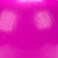 Võimlemispall Meteor, 55 cm, roosa hind ja info | Võimlemispallid | hansapost.ee
