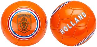 Футбольный мяч Avento Euro Triumph, оранжевый/белый цена и информация | Футбольные мячи | hansapost.ee