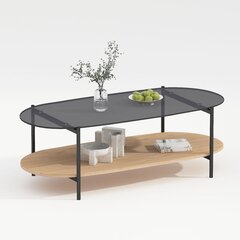 Diivanilaud CINDY 120x55xH40cm, hall klaas/melamiin tamm price and information | Coffee tables | hansapost.ee