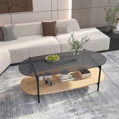 Diivanilaud CINDY 120x55xH40cm, hall klaas/melamiin tamm price and information | Coffee tables | hansapost.ee