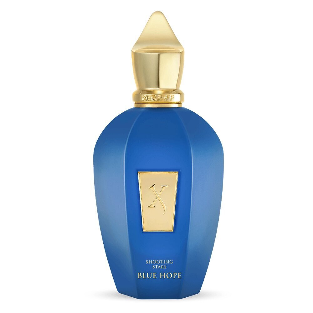 Parfüümvesi Xerjoff Blue Hope Edp meestele/naistele, 100ml цена и информация | Parfüümid naistele | hansapost.ee