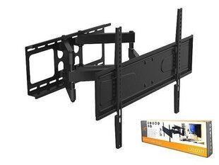 Lamex LXLCD77 TV wall mount up to 70" / 50kg hind ja info | Teleri seinakinnitused ja hoidjad | hansapost.ee