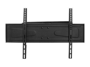 Lamex LXLCD77 TV wall mount up to 70" / 50kg hind ja info | Teleri seinakinnitused ja hoidjad | hansapost.ee