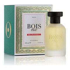 Bois 1920 Real Patchouli EDP naistele, 100ml цена и информация | Женские духи | hansapost.ee