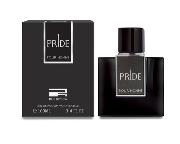 Afnan Pride pour homme EDP meestele, 100 ml цена и информация | Parfüümid meestele | hansapost.ee